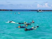 /album/fotogaleria-galeria-de-fotos/images-7-jpg/